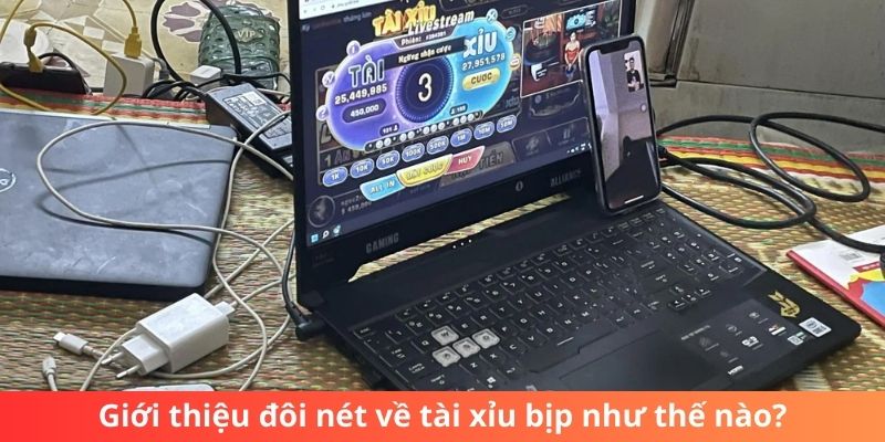 Giới thiệu đôi nét về tài xỉu bịp như thế nào?